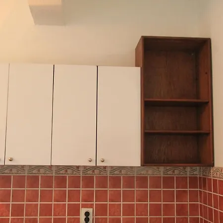 Private City Flat דירה פודגוריצה